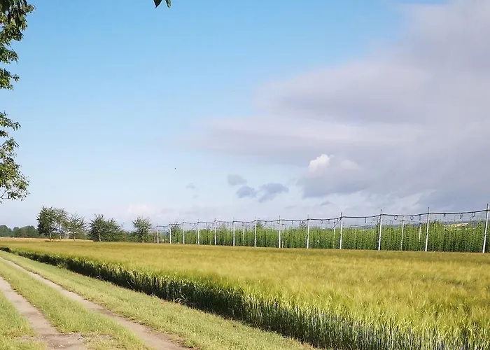 Altes Standesamt Apartamento