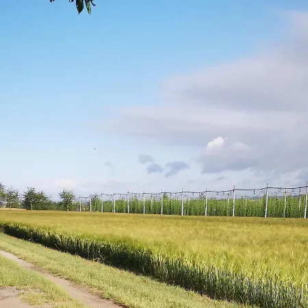 Altes Standesamt Apartment