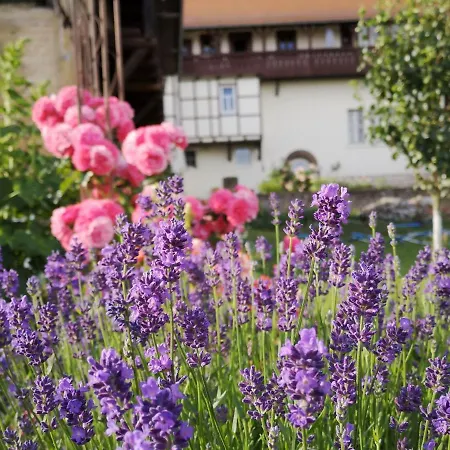 Apartment Altes Standesamt